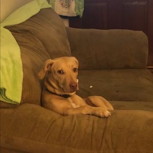 Meet your Posher, Sandra